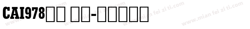 CAI978粗体 斜体字体转换